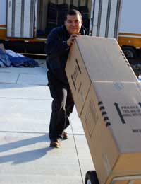 working handling boxes on a lifting trolley